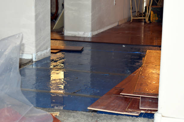 Professional Burst Pipe Cleanup technician working in Orient, WA